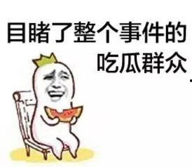 娱乐吃瓜菌感动,见证娱乐圈感动瞬间